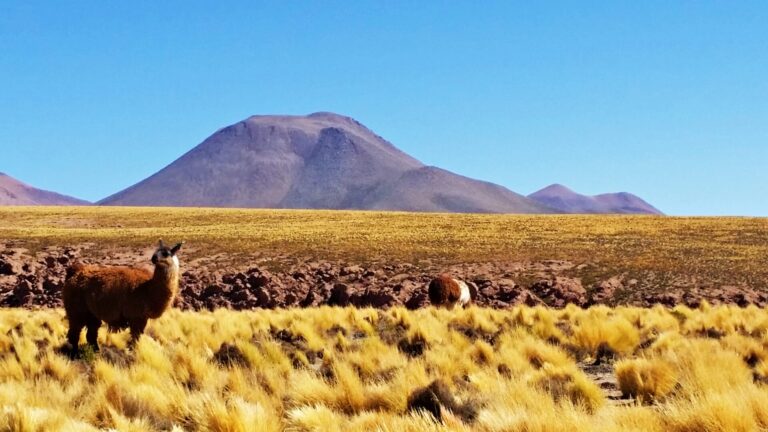 Chilean bucket list. What to see and do in Chile.