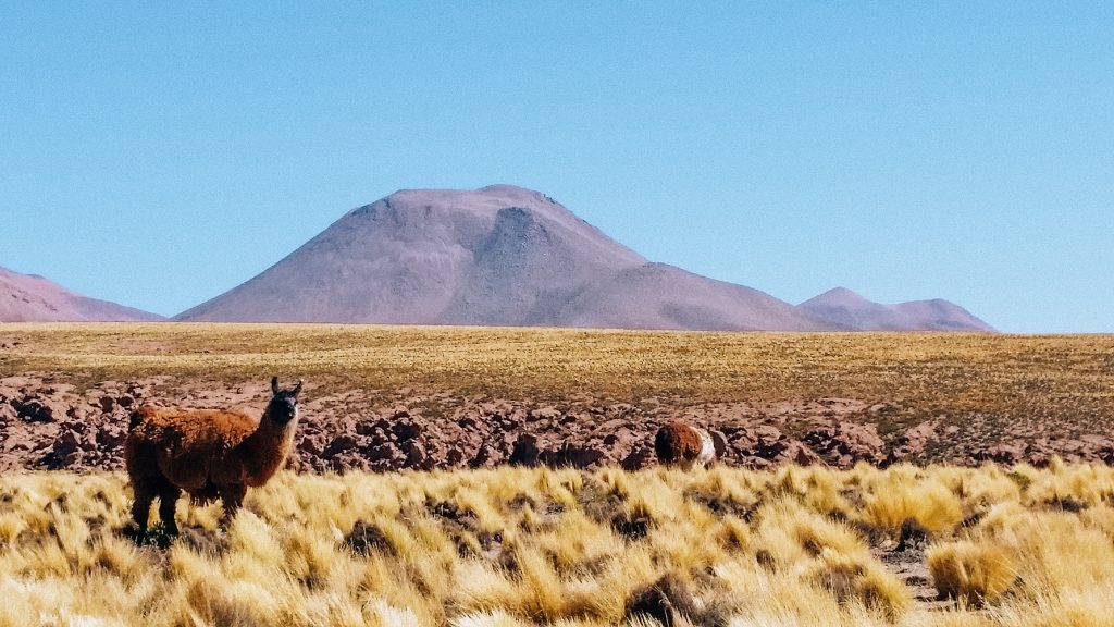guide to san pedro de atacama