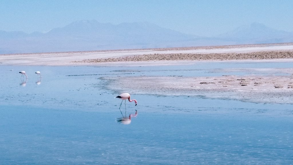 guide to san pedro de atacama