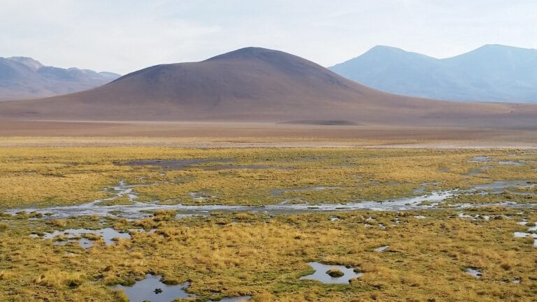Atacama