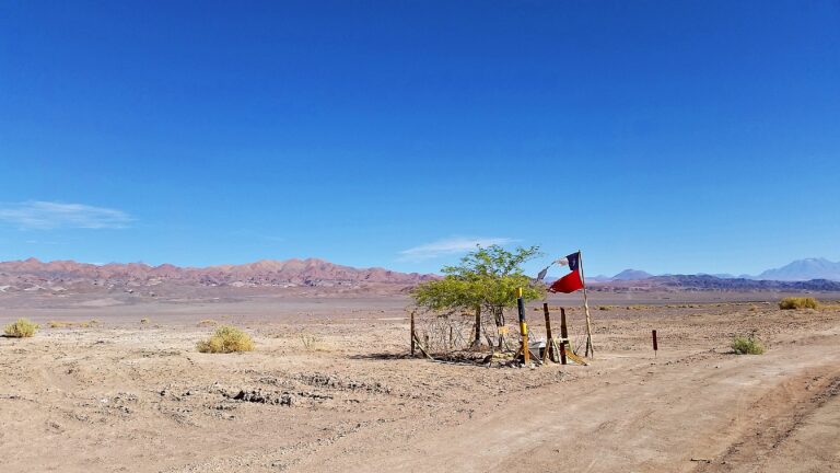 So you say you speak Spanish? A little guide to speaking Chilean language.