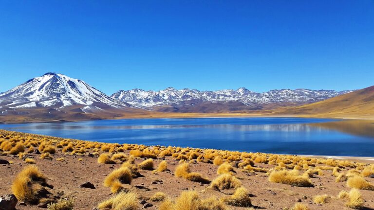 Miscanti and Miñiques: how to visit the turquoise lagoons in the Atacama desert?