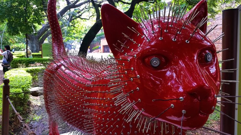 Cats from Cali. What to do in this Colombian city.