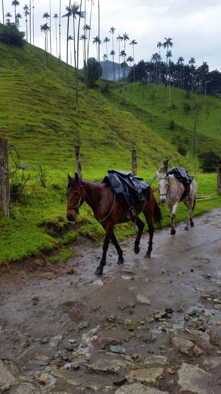 Top 10 reasons to visit Colombia this year