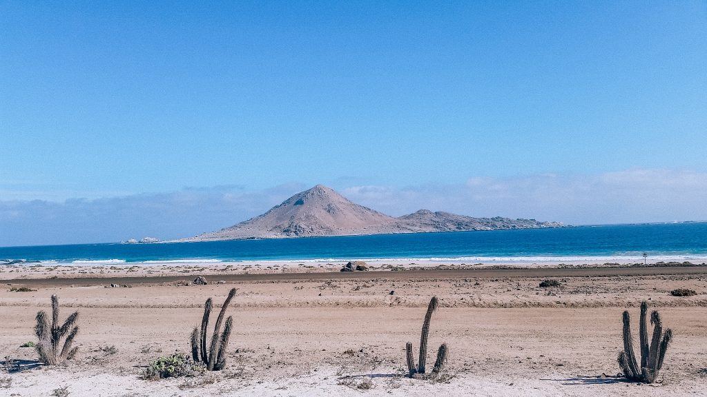 pan de azucar national park chile
