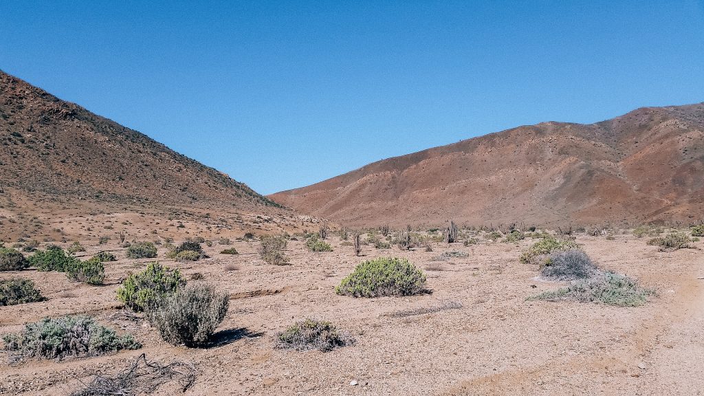 pan de azucar national park