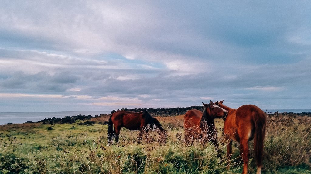 easter island itinerary
