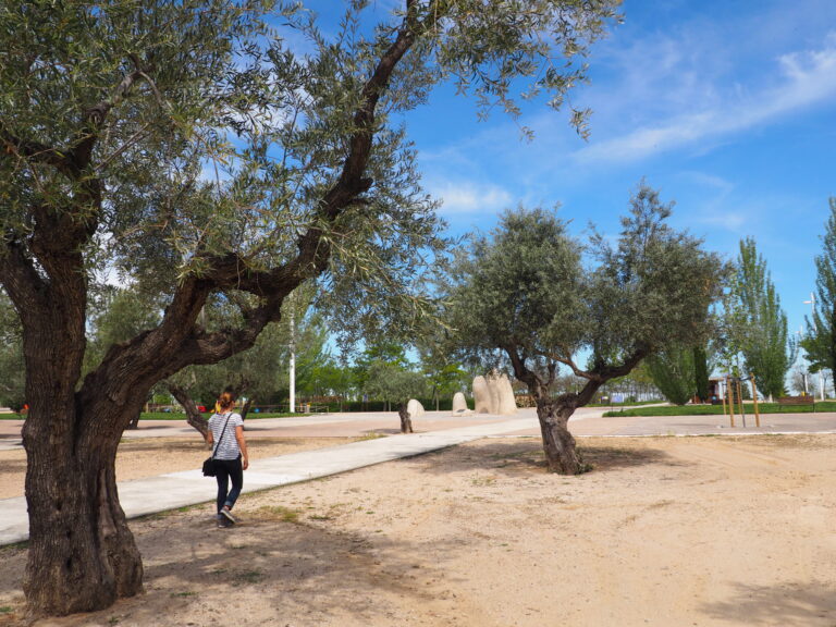 5 perfect places to go jogging in Madrid