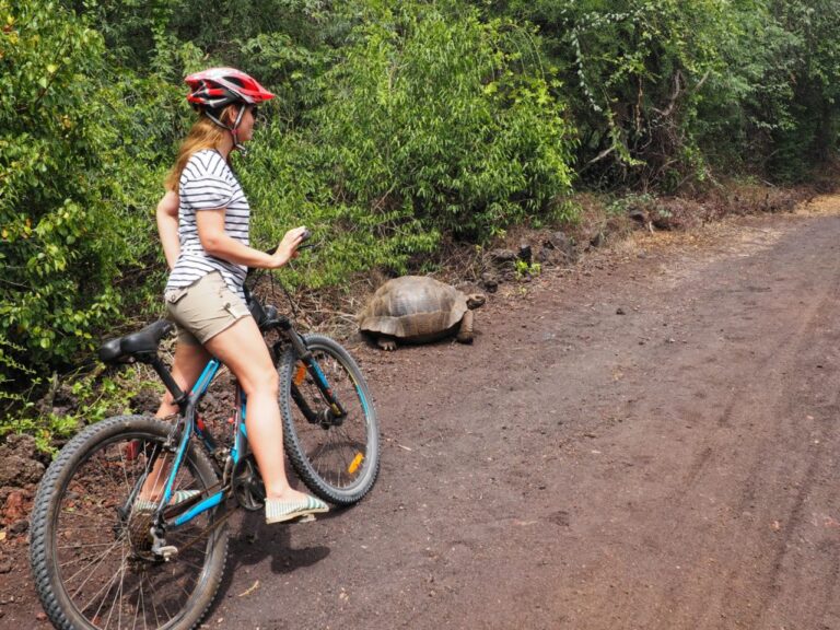 How to stay fit while traveling.