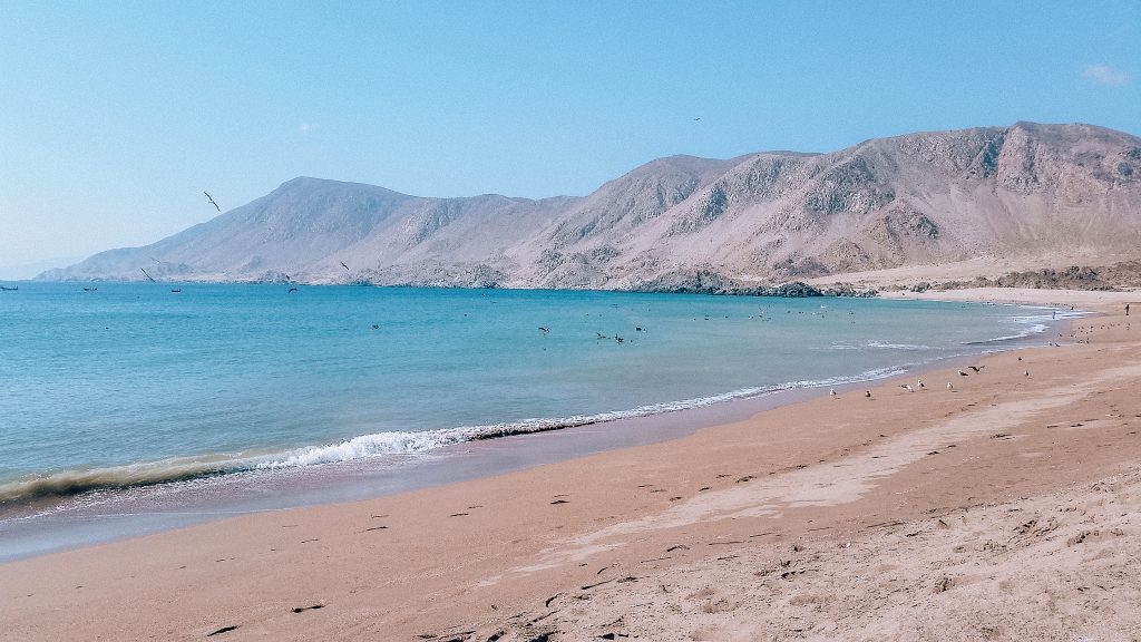 pan de azucar national park