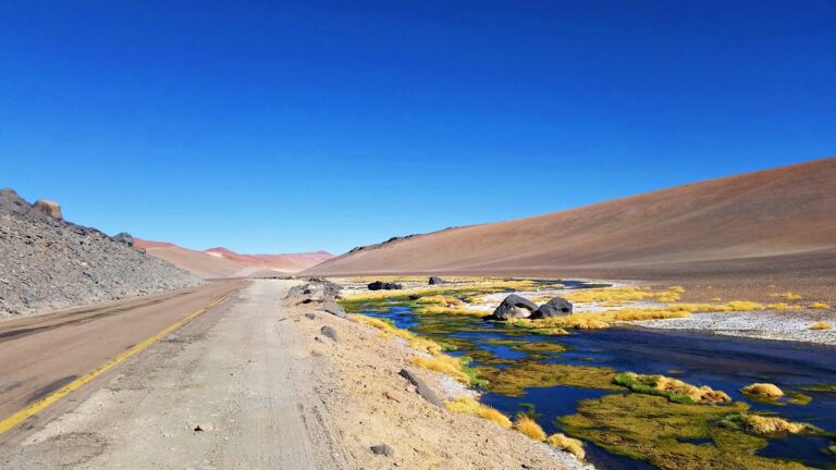 12 cool things to do in Atacama.