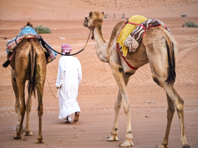 10 days in Oman guide and itinerary. How to plan a perfect road trip.