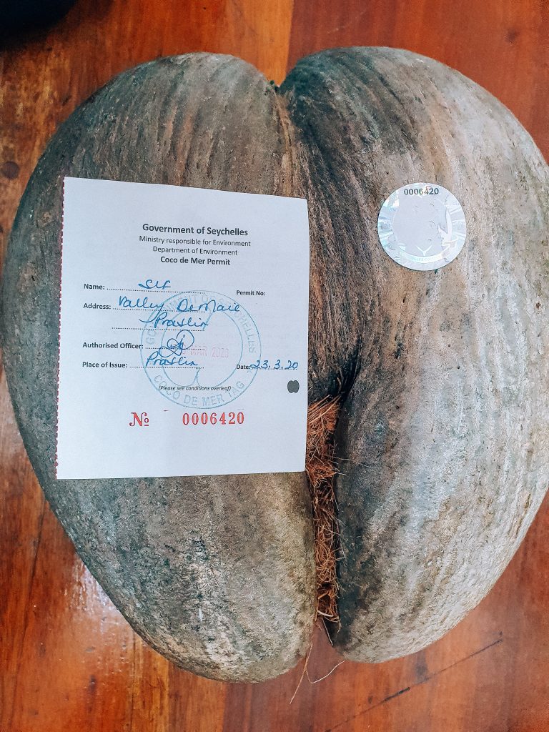 reasons to go to seychelles