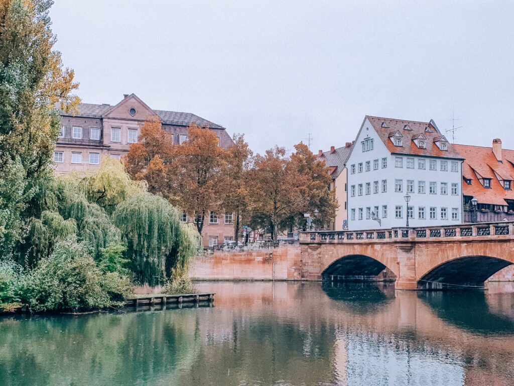 houses, bridge and river