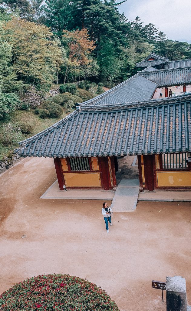 Visiting Gyeongju from Busan