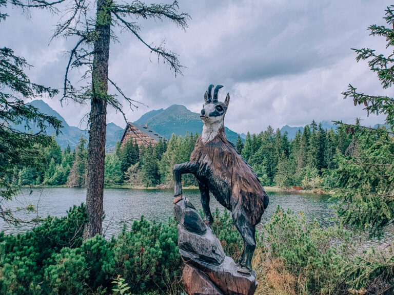 What you need to know about driving in Slovakia + 5 day road trip itinerary
