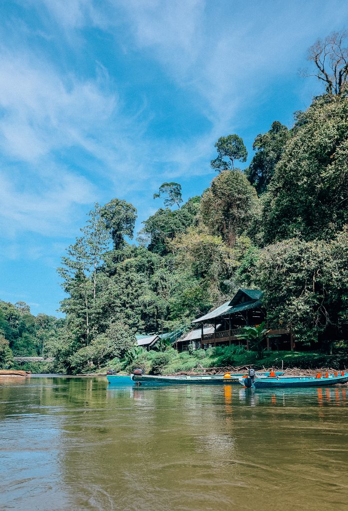 ulu temburong national park in brunei