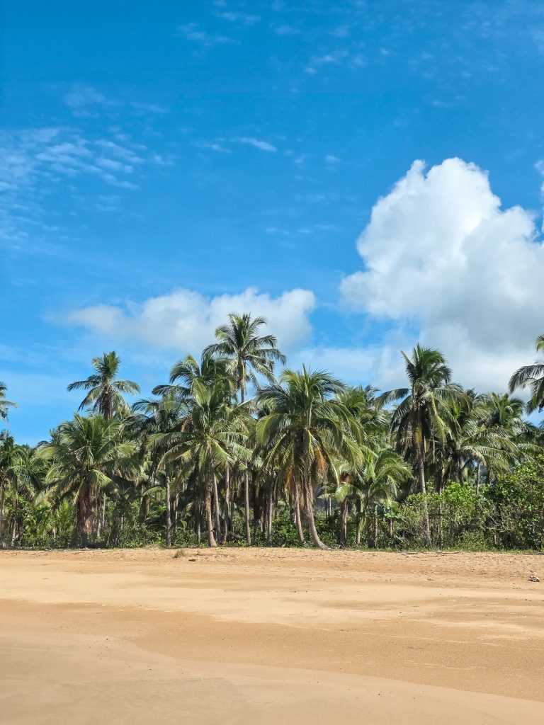 el nido beaches by land