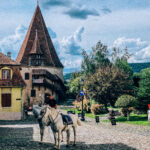 sighisoara medieval festival