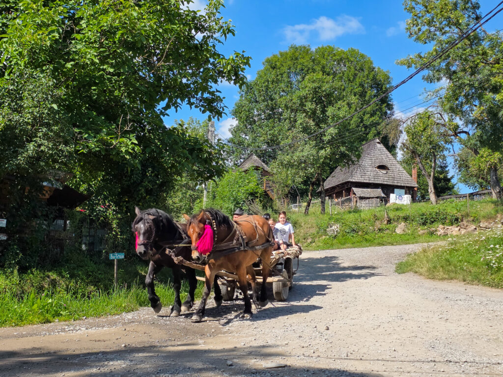 horse carriage in a village in romania