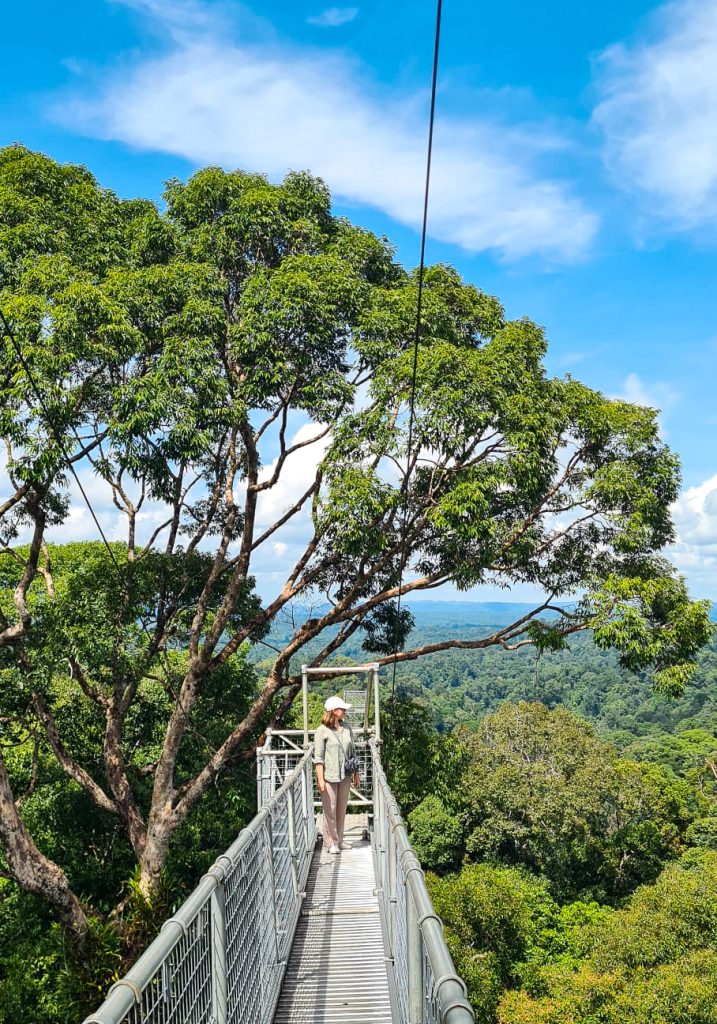 ulu temburong national park in brunei