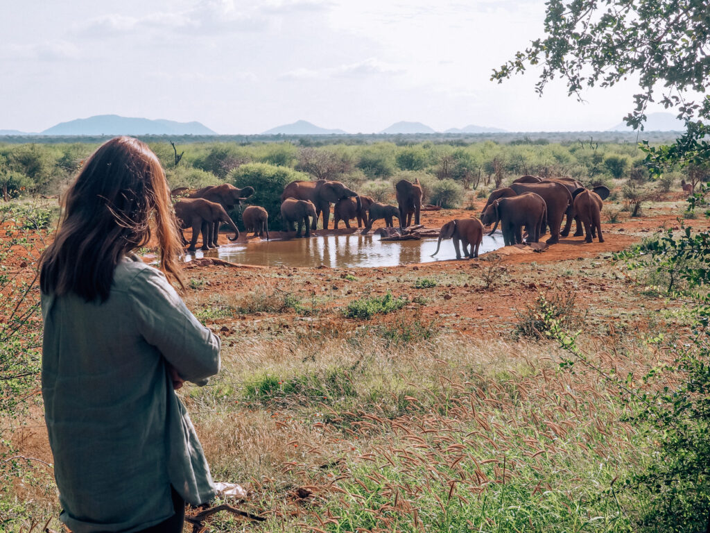 malaria free safari