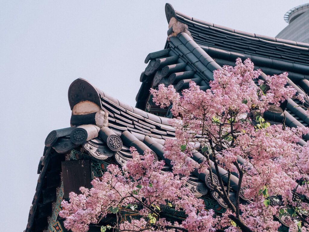 10 days in South Korea in spring South Korea 10-day itinerary