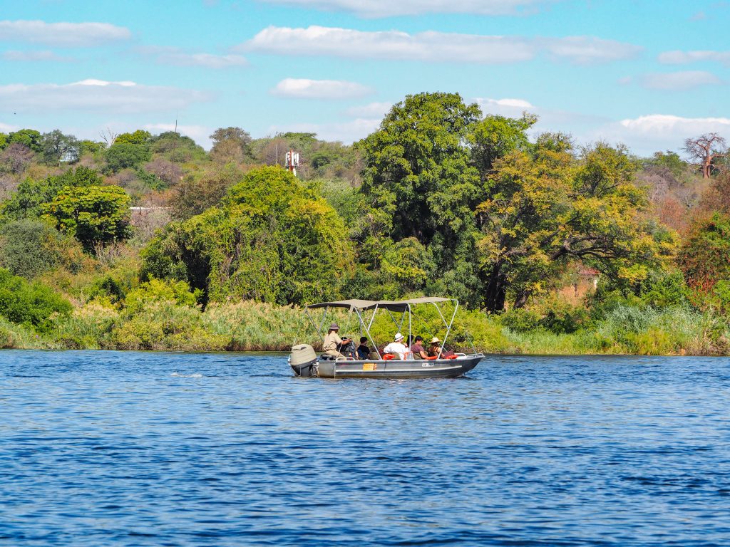 chobe national park day trip from victoria falls