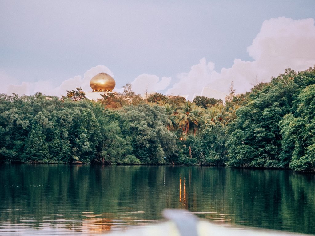 where to see proboscis monkeys in brunei