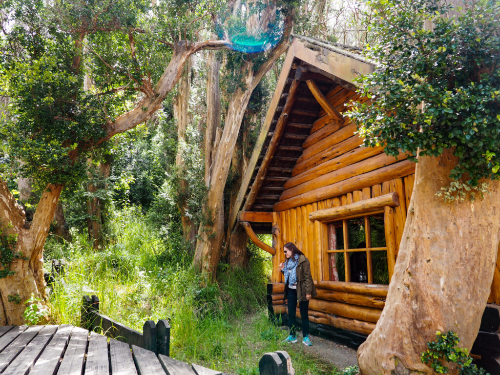 best walks in patagonia