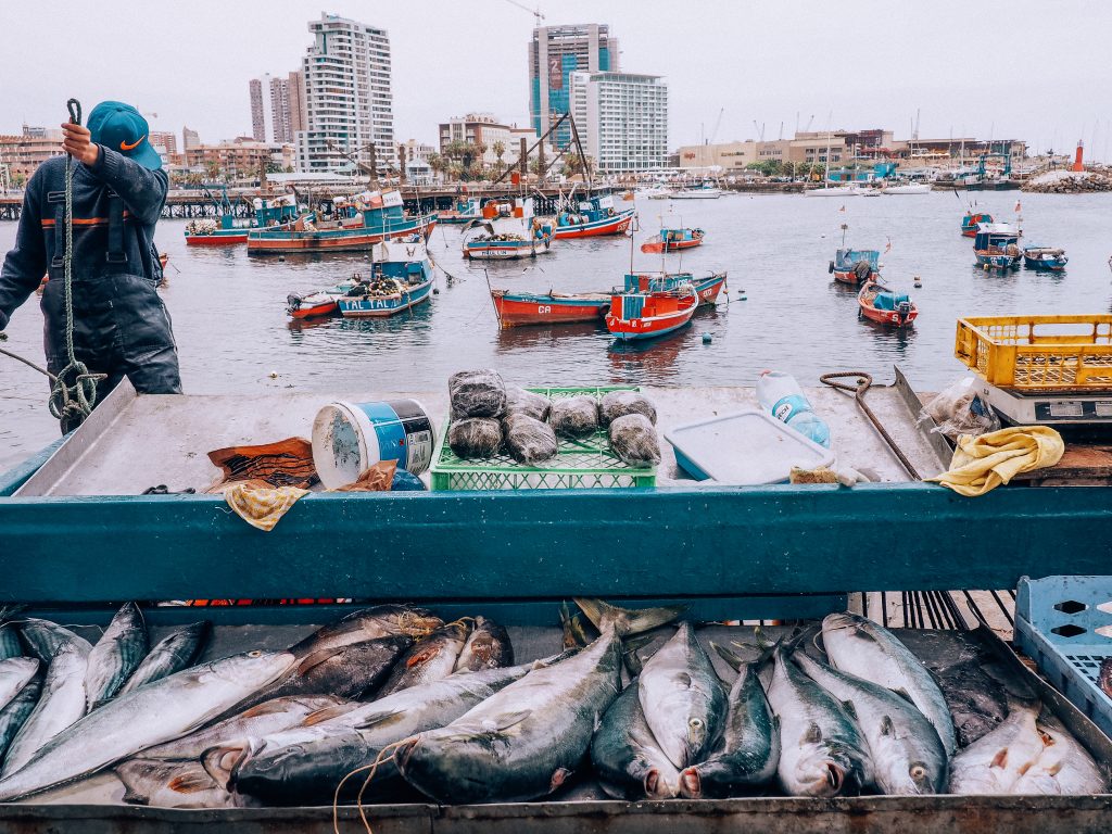 what to do in antofagasta