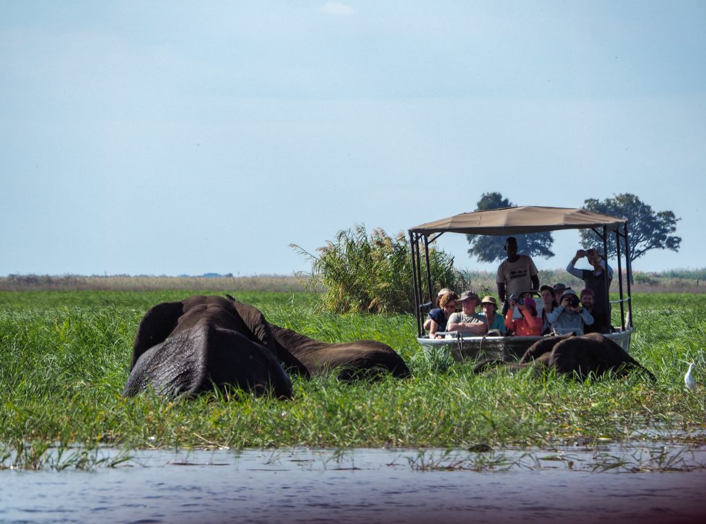 chobe national park day trip from victoria falls