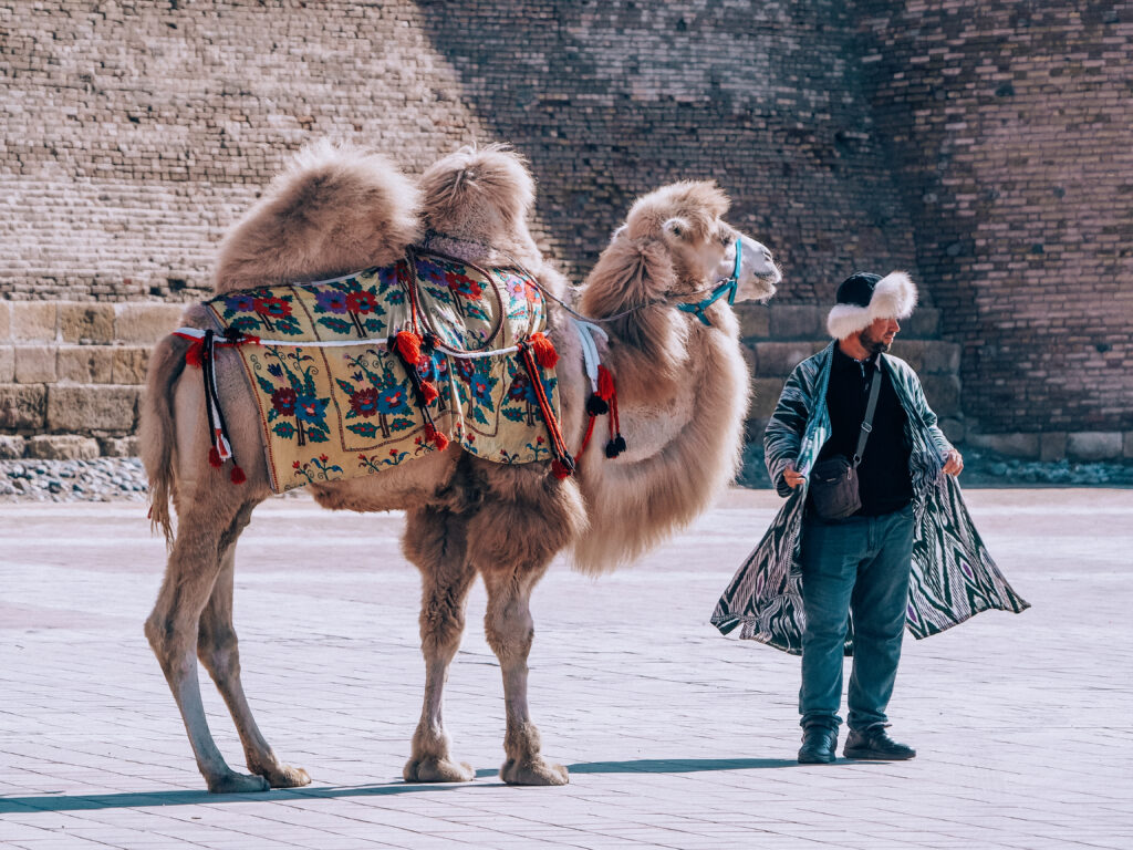 best of Uzbekistan