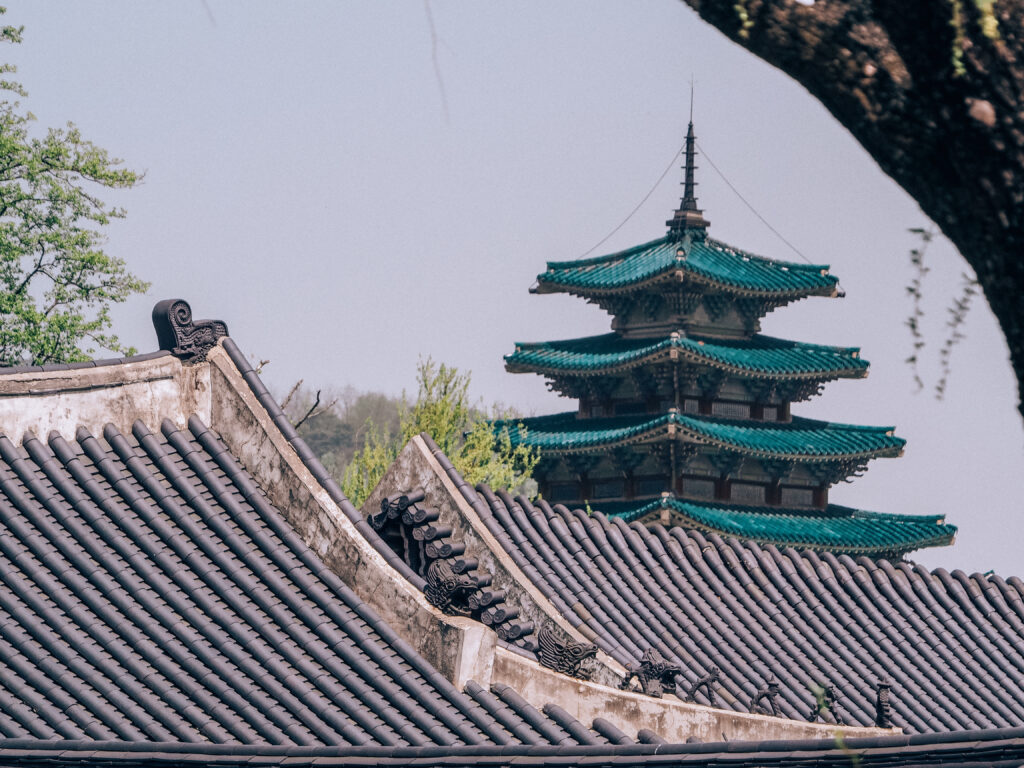 guide to south korea for first timers