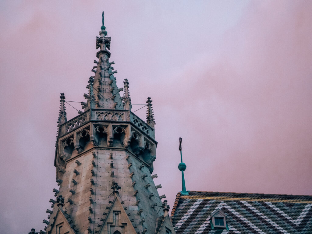 what to do in vienna