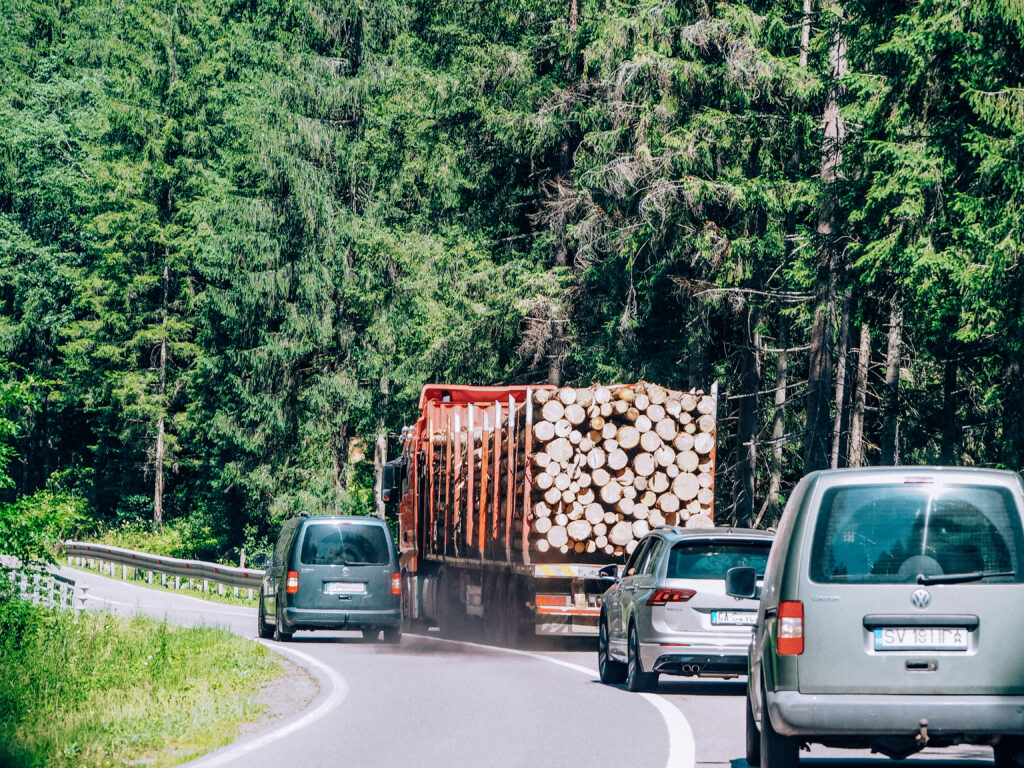 traffic on the road in forest