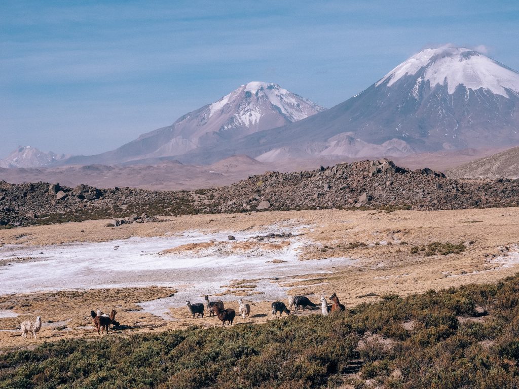 road trip to lago chungara