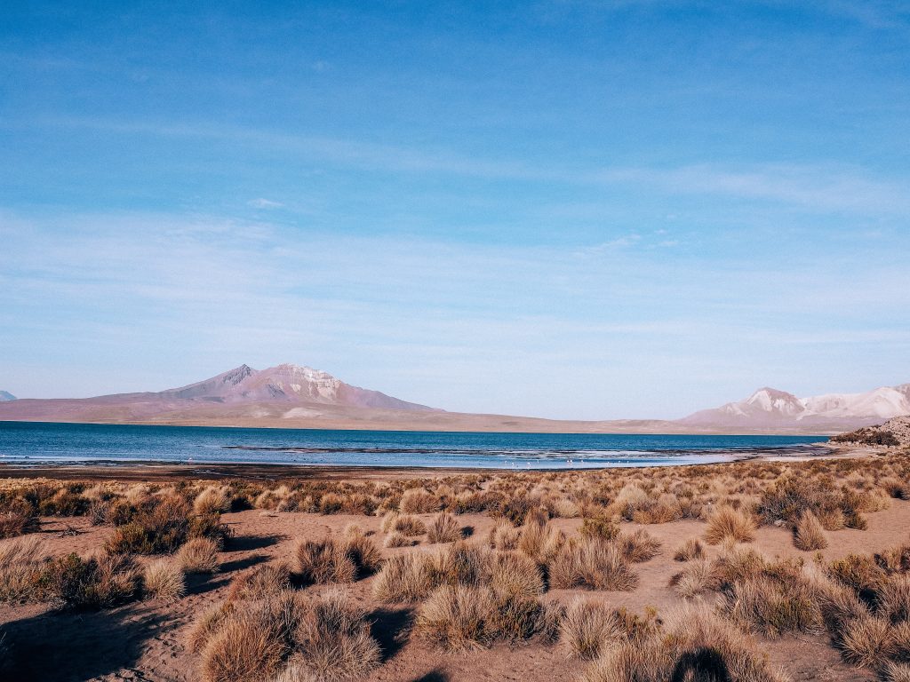 road trip t lago chungara