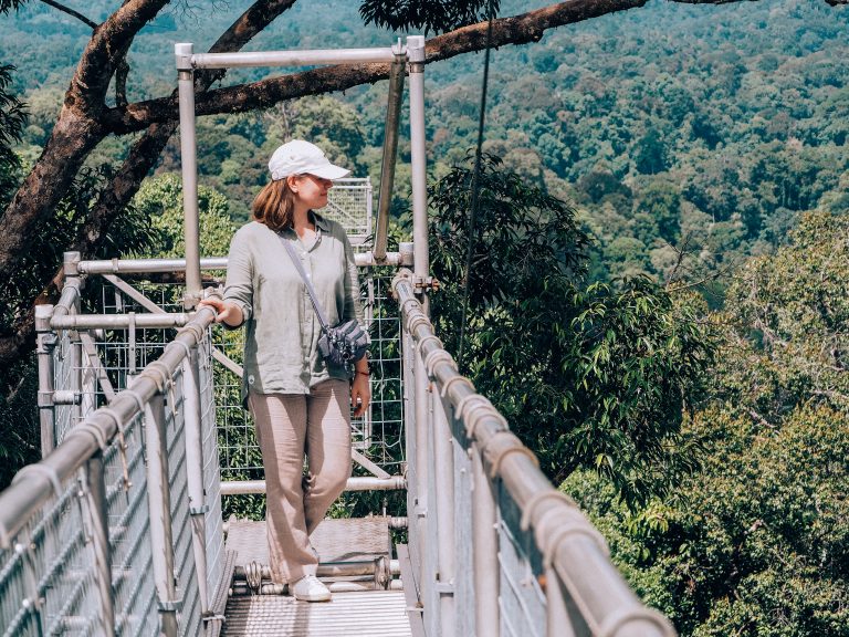 ulu temburong national park in brunei