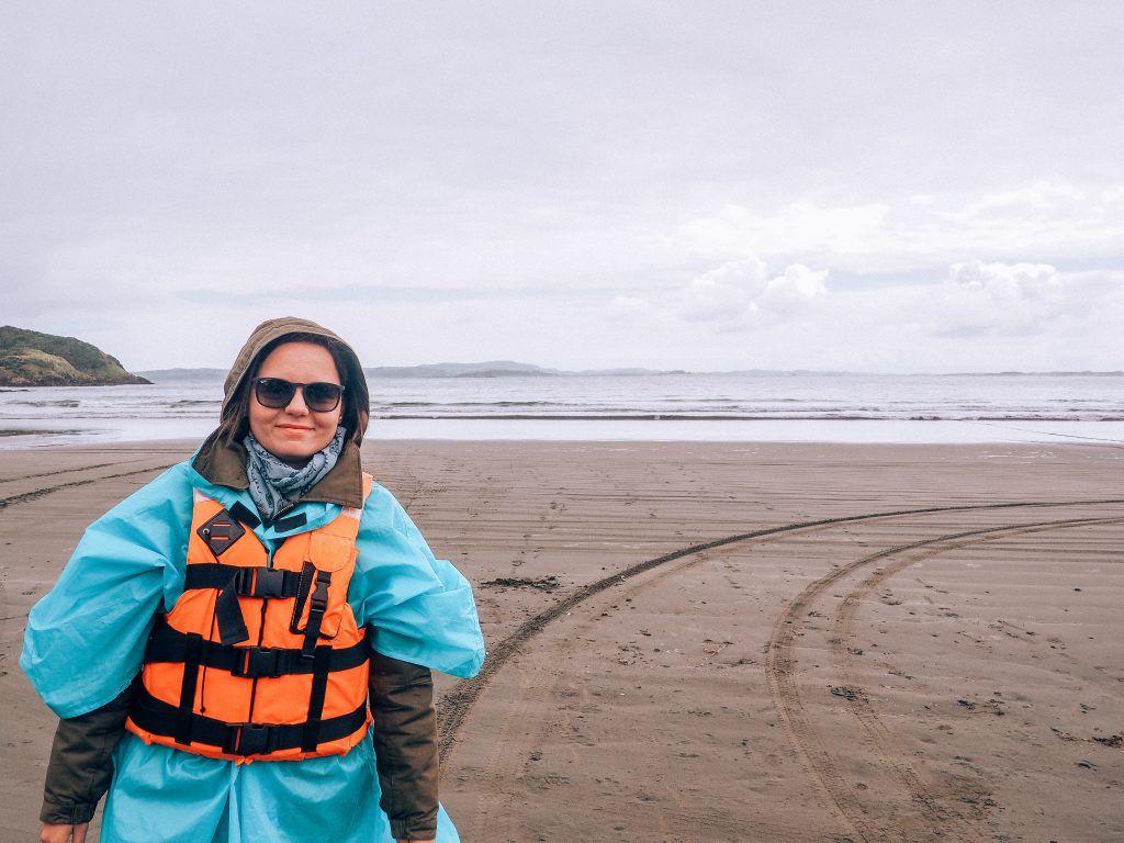 whale watching in chiloe
