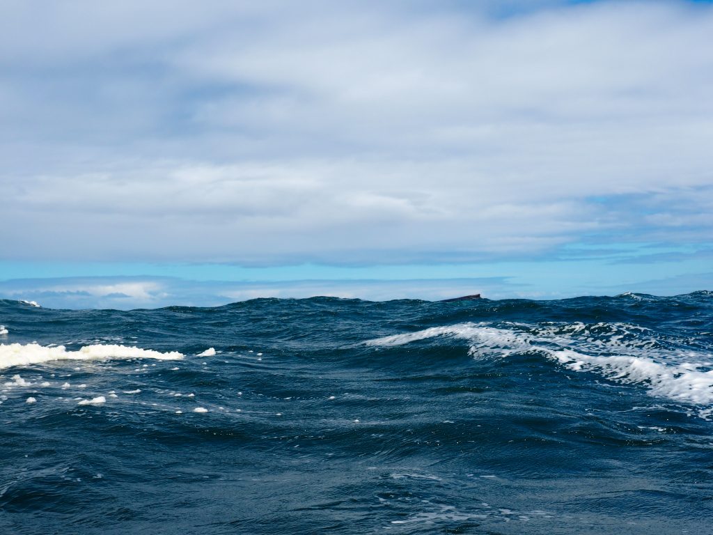 chiloe island road trip