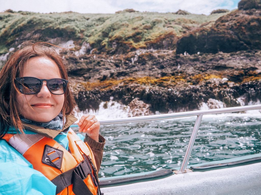 whale watching in chiloe