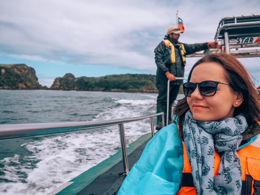 whale watching in chiloe