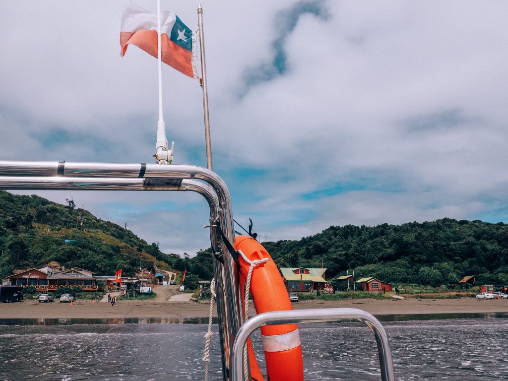 whale watching in chiloe