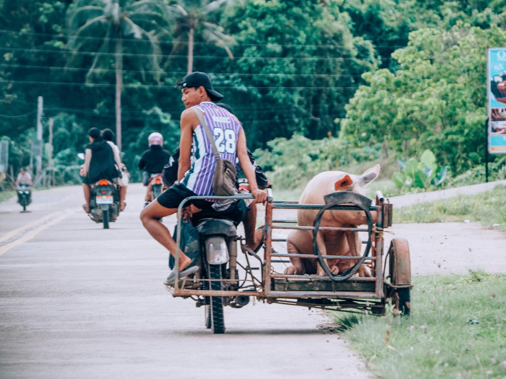 driving in palawan