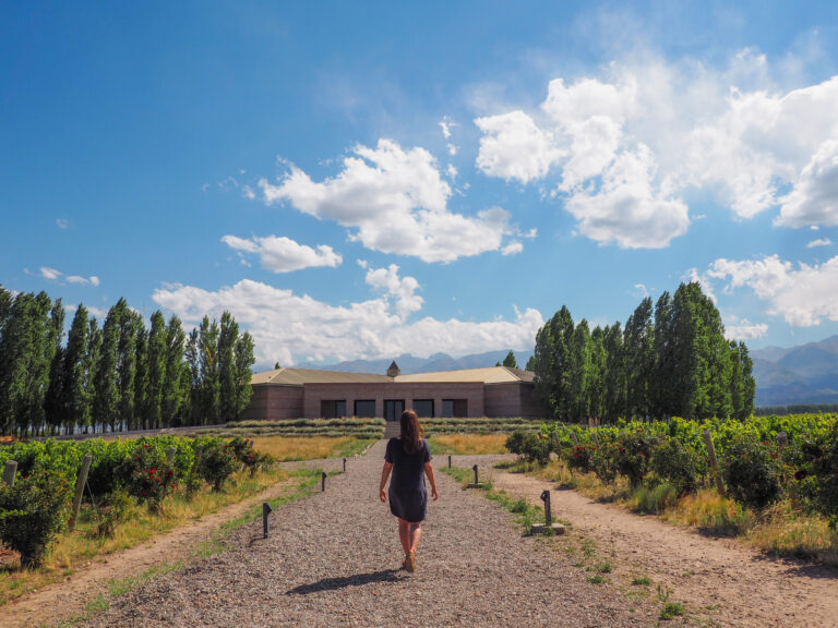 what to do in mendoza