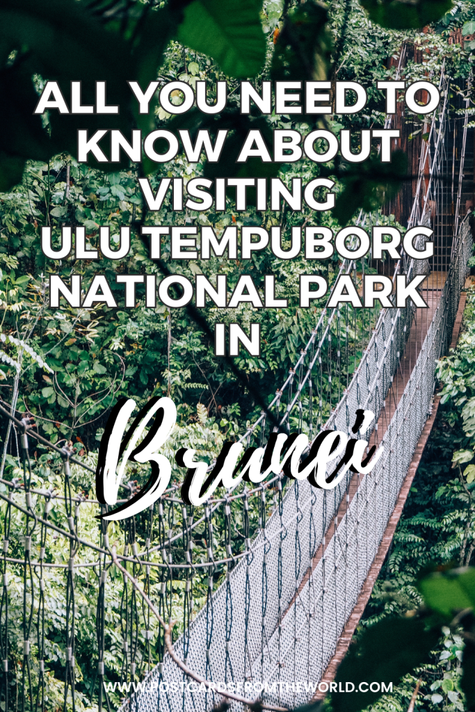 Ulu temburong national park in brunei