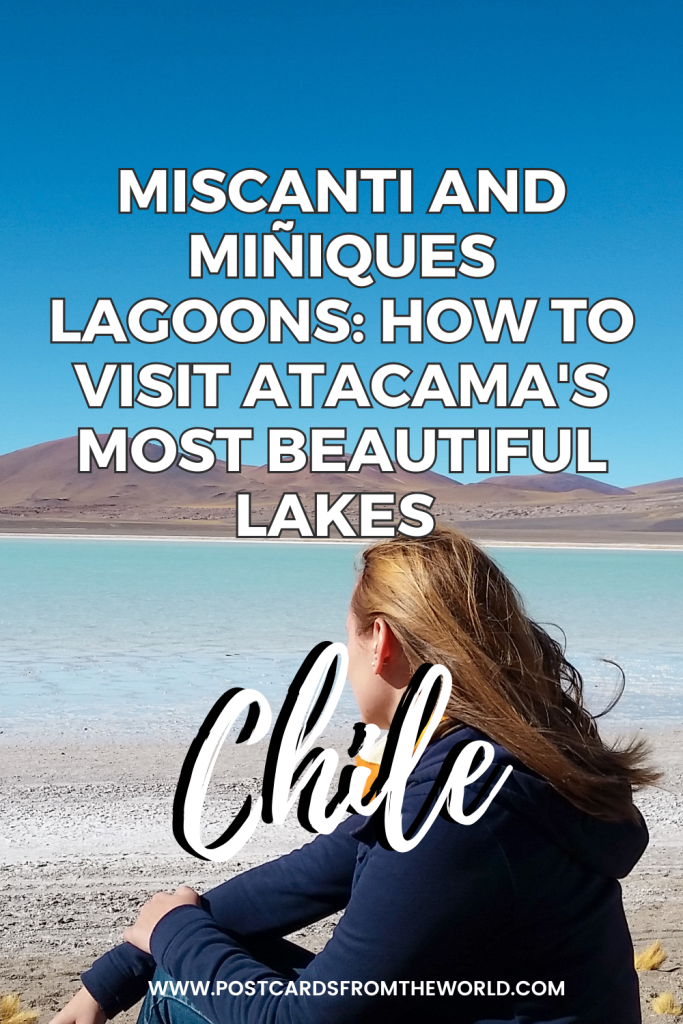 miscanti and miniques lagoons