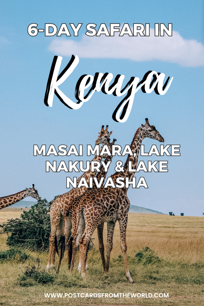 6 day kenya safari