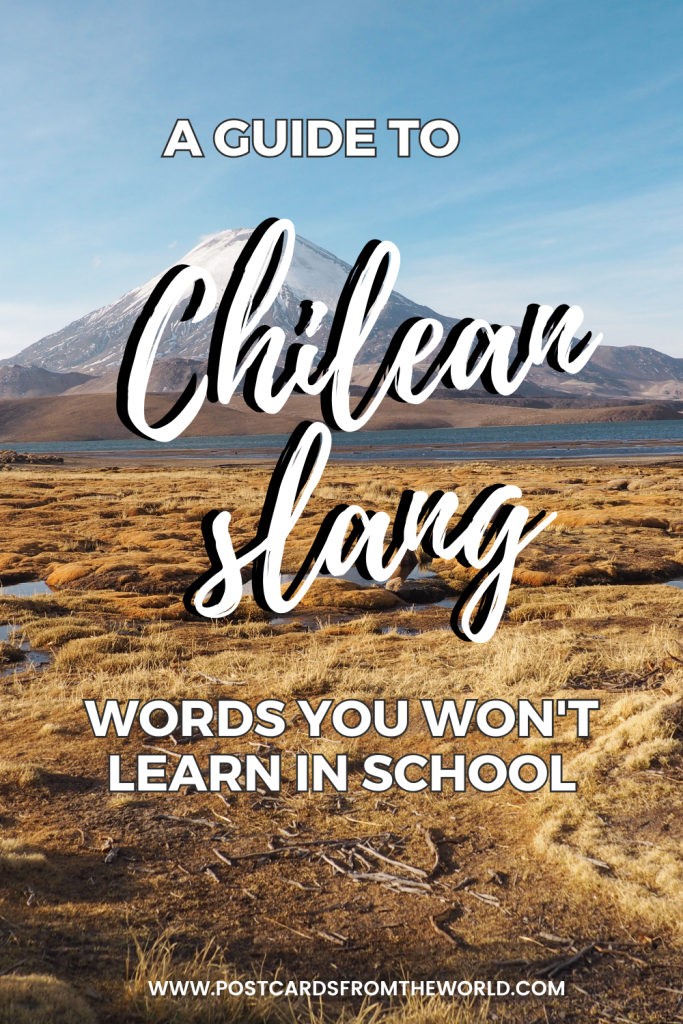 guide to chilean slang